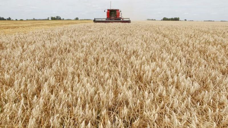 Buenas perspectivas para la campaña agrícola 2025/26 en el Departamento 9 de Julio
