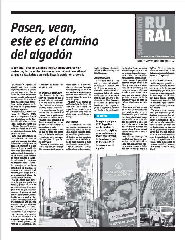 Pasen, vean, este es el camino del algodón