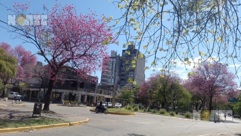 Viernes soleado con máxima de 25°C y humedad elevada