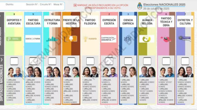 Boleta única: "Da claridad, eficiencia y transparencia al proceso electoral"