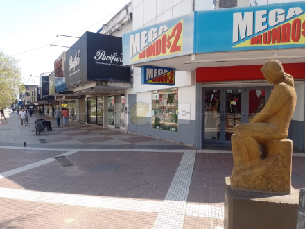 comercios peatonal 4.jpg