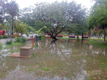 lluvia5.jpg