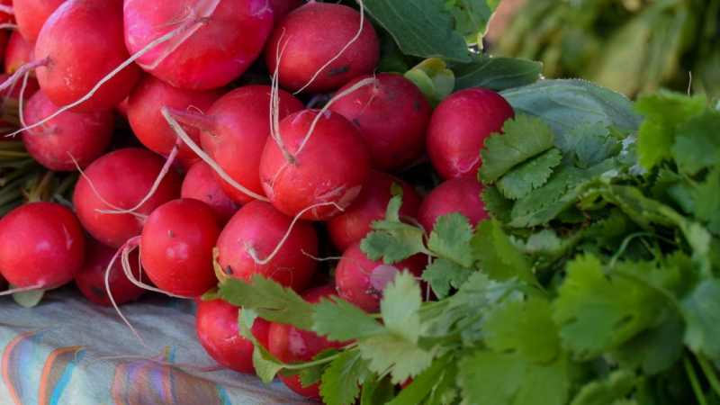 Nutrición y producción sustentable de alimentos, un pilar clave para la salud