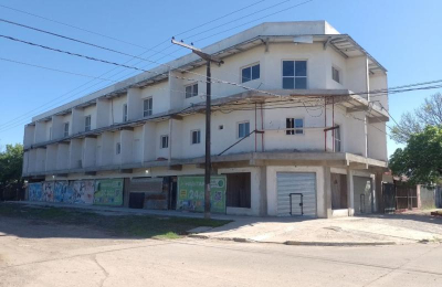 Tala ilegal, obra irregular y una vecina que no se resigna: "Se creen que están en Miami"
