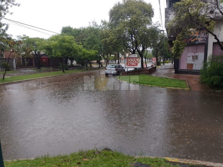 lluvia 5.jpg