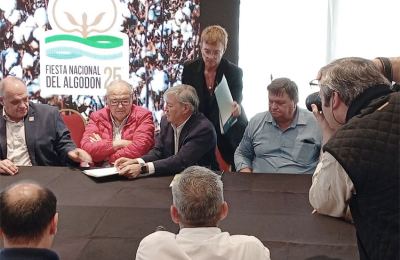 Nace una esperanza para el algodón argentino