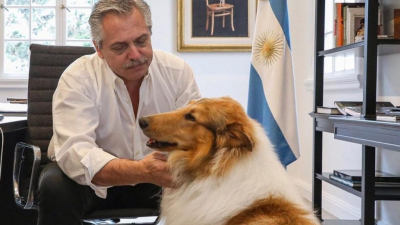 Murió Dylan, el perro de Alberto Fernández