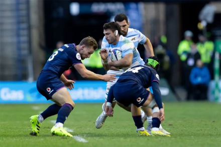 pumas.jpg