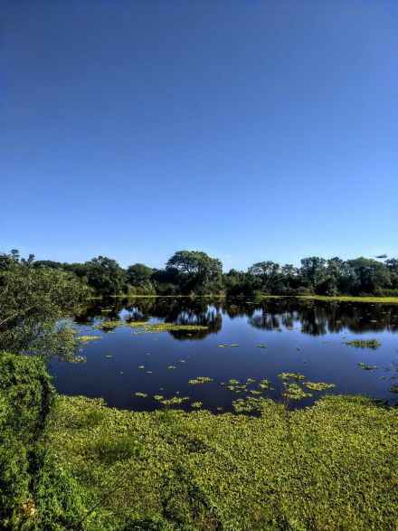 paisaje1.jpg
