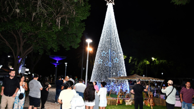 Resistencia encendió su tradicional árbol de Navidad