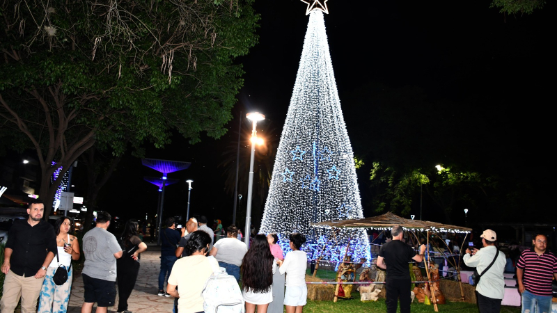 Resistencia encendió su tradicional árbol de Navidad