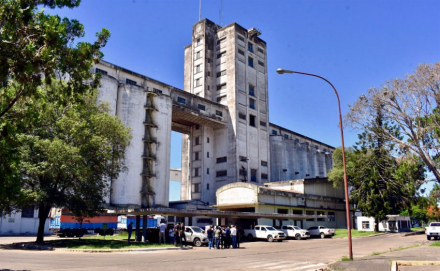 acopio.jpg