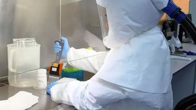 Confirmaron la detección del influenza A H3N2 en Argentina