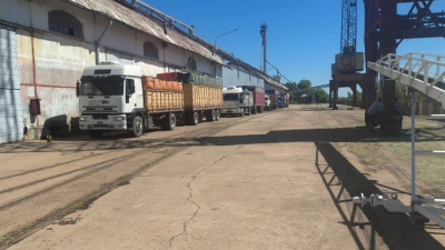 El puerto de Barranqueras recibió 150 toneladas de semillas de girasol