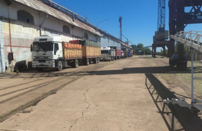El puerto de Barranqueras recibió 150 toneladas de semillas de girasol