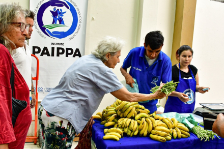 Feria paippa -9.jpg