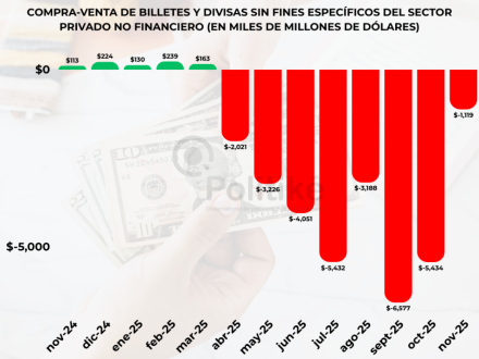 5 Elaboración propia en base a los datos del BCRA.png
