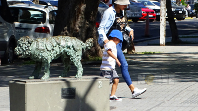 Ola de calor a la vista: se espera al menos una semana con altas temperaturas