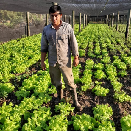 Productores paipperos (9).jpg