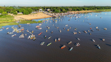 Fiesta de la Corvina (2).jpeg