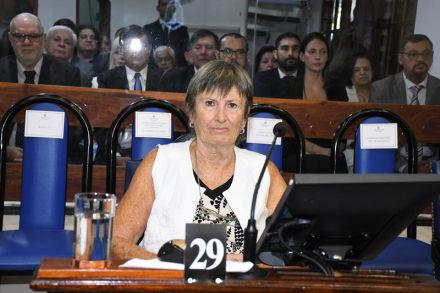 diputada Mirassou.jpg