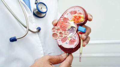 Una IA que promete frenar la epidemia silenciosa de la enfermedad renal