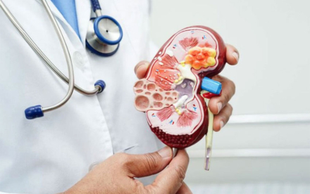 renal