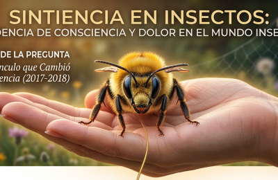 Un viaje a la conciencia y el dolor en el mundo insecto