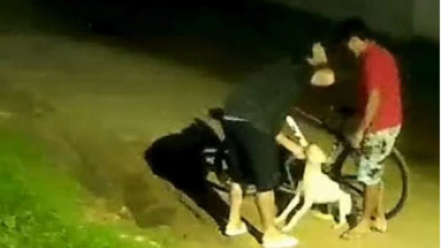 Detuvieron a un sujeto por maltrato animal en Fontana: golpeó a su perra por horas