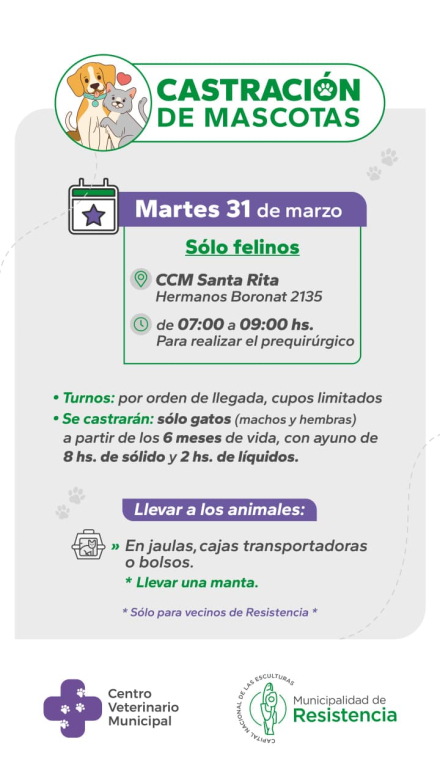 WhatsApp Image 2026-03-20 at 09.09.11.jpeg