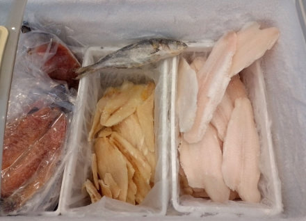 pescado2.jpg