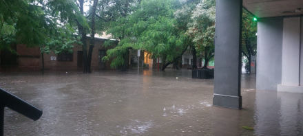 lluvia789