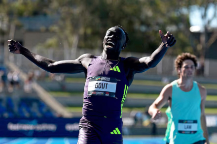 gout.jpg