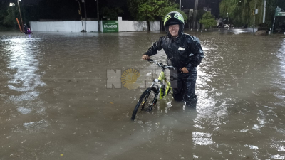 Lluvias intensas causaron caída de árboles y asistencia a familias afectadas