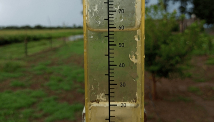 lluvias 3.jpg
