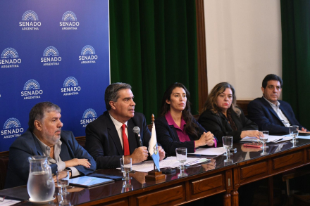Senadores y senadoras del Norte Grande avanzan con un proyecto para bajar las tarifas de luz en la región (2).jpeg