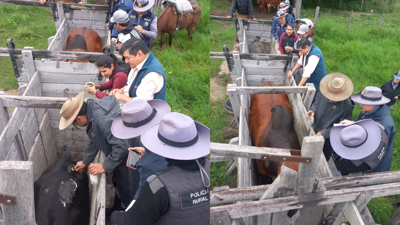 Megaoperativo policial permitió recuperar 62 animales