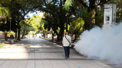 Refuerzan acciones contra el dengue en plazas de la ciudad Capital