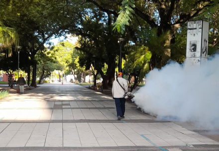 Trabajos-dengue-plazas-San-Martín-y-La-Nueva-Formosa-(6)