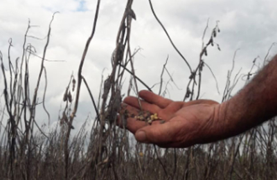 Pedido del campo: "Hoy más que nunca necesitamos medidas diferenciadas"