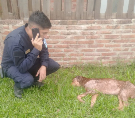 abando