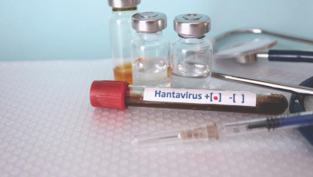 Hantavirus - Llevan tranquilidad a la población formoseña y destacan las acciones preventivas permanentes (1).jpeg