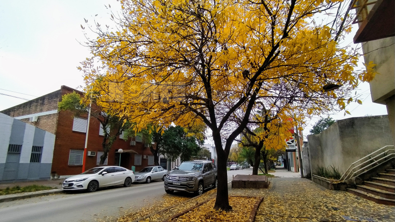 Resistencia comienza junio con mañanas frescas y tardes agradables: así seguirá el tiempo durante la semana
