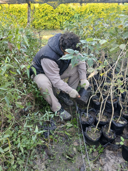 Formosa refuerza su compromiso con una política ambiental integral (3)