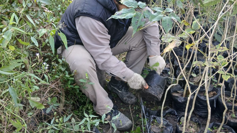 Jornada comunitaria por el Día Mundial del Medio Ambiente en la Jurisdicción Cinco