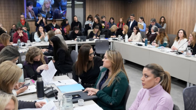 Hay dictamen para declarar la emergencia nacional en violencia de género