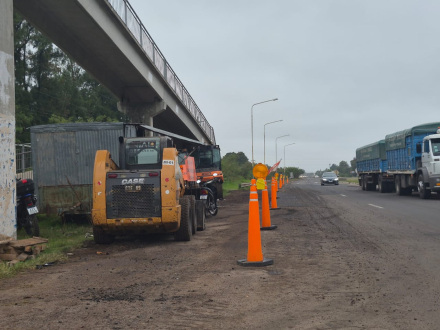 BACHEO 1