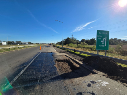 BACHEO 12