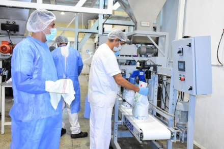 Nutrifor planta y productos (4)