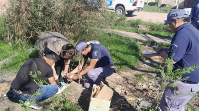 Macabro hallazgo en Quitilipi: encuentran un cráneo en un basural
